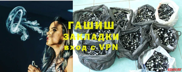 стаф Алзамай