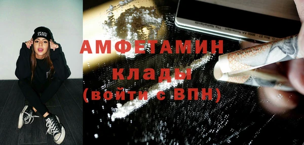 стаф Алзамай