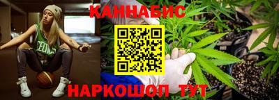 гидра Дубна