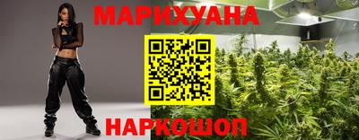 гидра Дубна