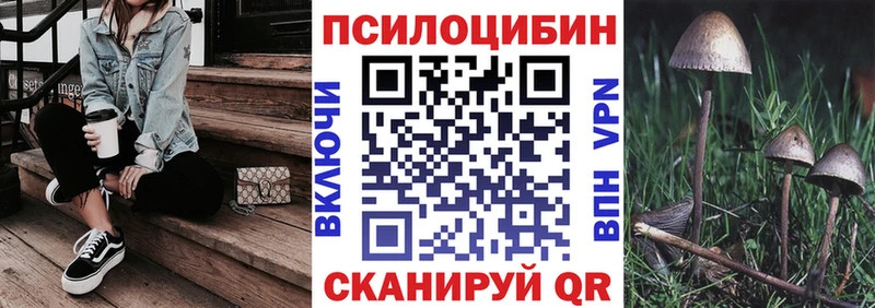 mega tor  Мирный  darknet телеграм  закладка  Галлюциногенные грибы прущие грибы 